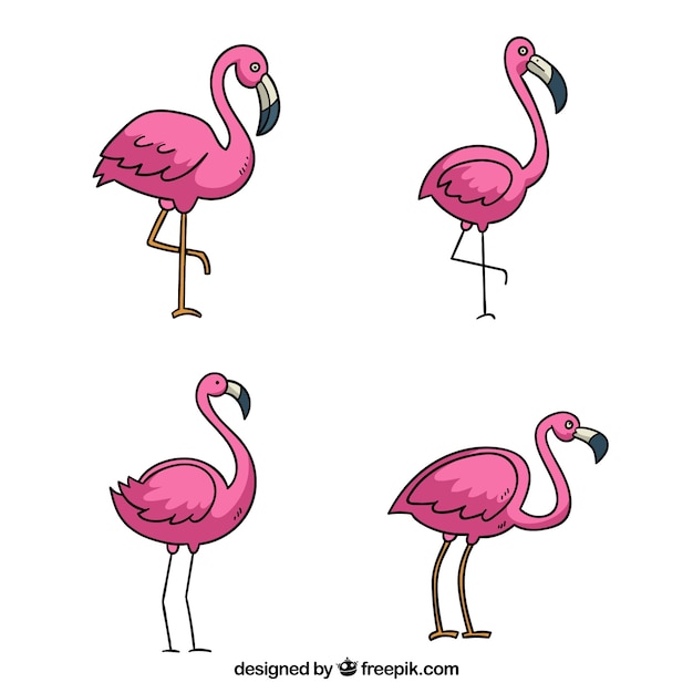 Vetor grátis conjunto de flamingos cor de rosa com diferentes posturas