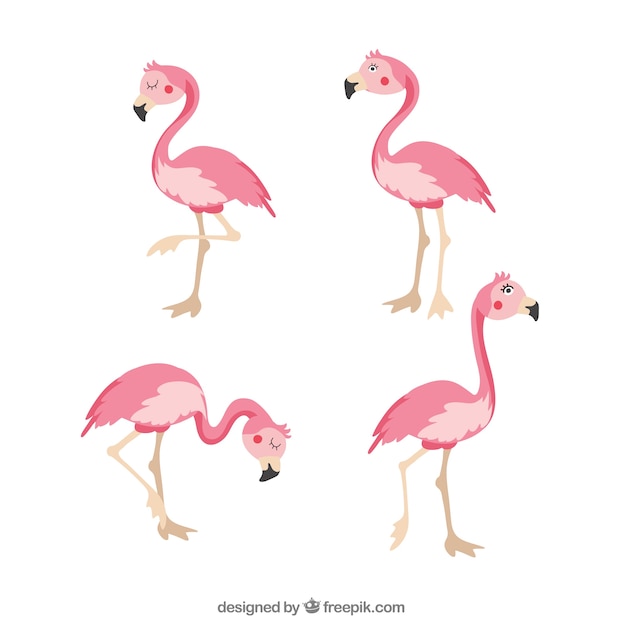 Vetor grátis conjunto de flamingos cor de rosa com poses diferentes