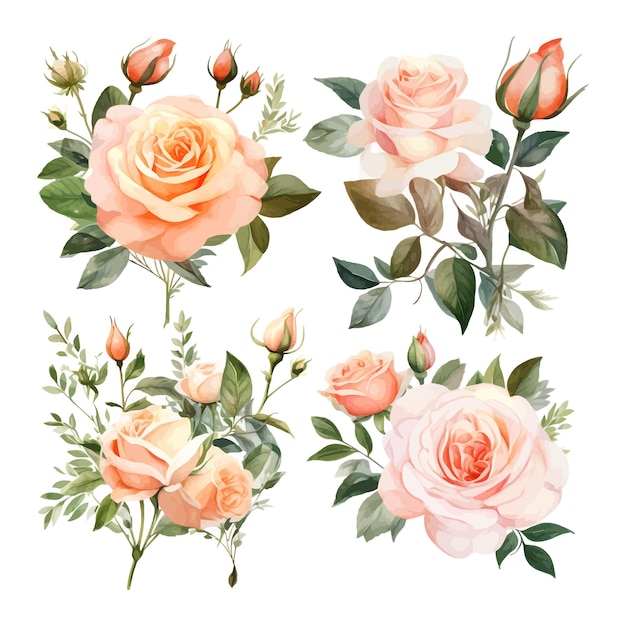 Conjunto de flores aquareladas com elementos individuais