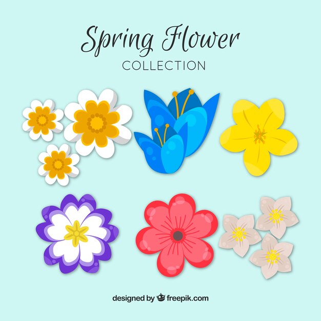 Conjunto de flores coloridas da primavera