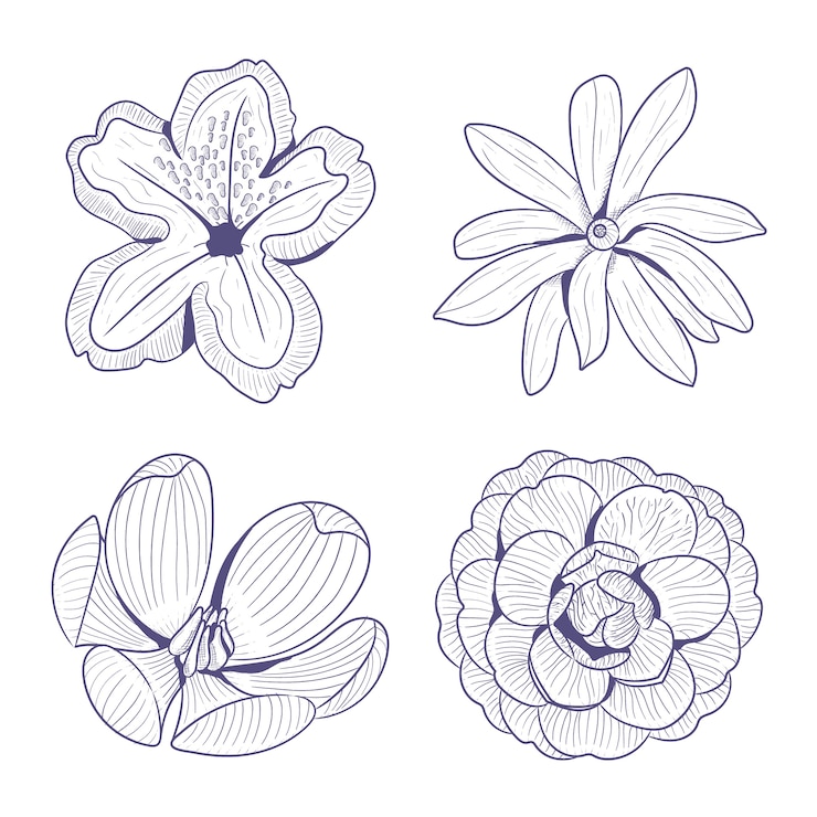Vetor grátis conjunto de flores da primavera mão desenhada