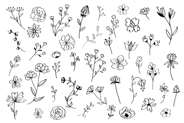Conjunto de flores de mão desenhada