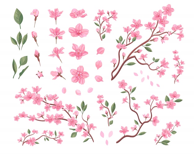 Vetor grátis conjunto de flores de sakura