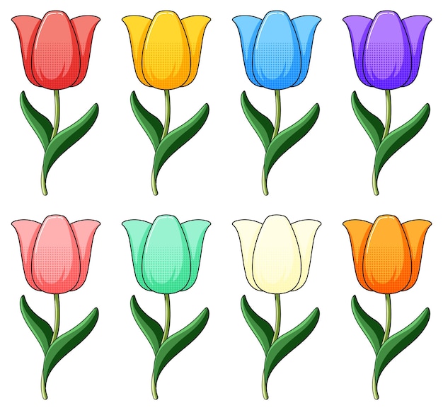 Conjunto de flores de tulipa coloful