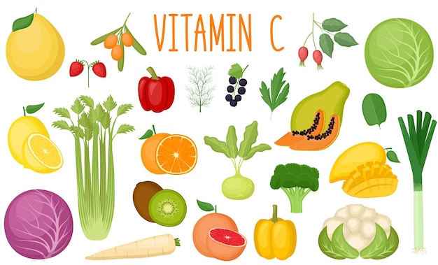 Conjunto de fontes de vitamina c. comida saudável. coleção de vegetais e frutas enriquecidos com vitamina c. ilustração vetorial