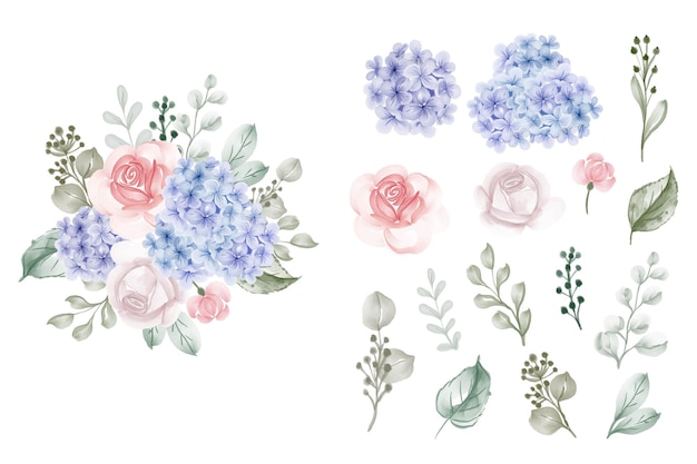 Conjunto de hortênsia isolada azul com ilustração em aquarela rosa