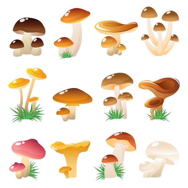Vetor grátis conjunto de ícones de cogumelos da floresta