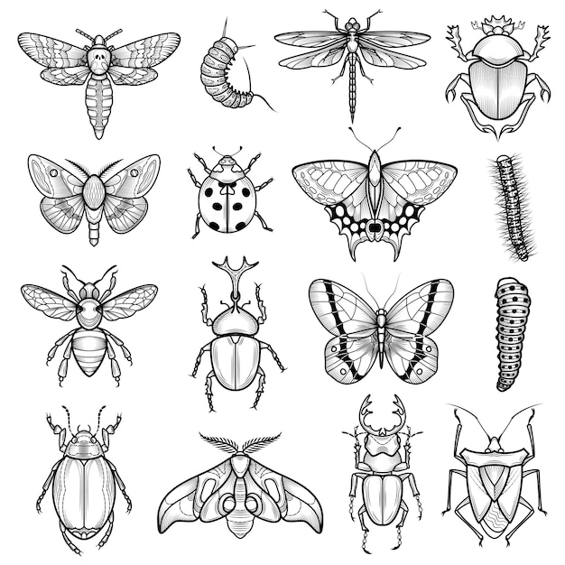 Vetor grátis conjunto de ícones de linha branca preta de insetos