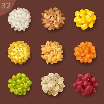 Conjunto de ícones de vetores de ingredientes de alimentos 32 grãos