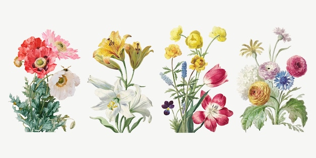 Conjunto de ilustração botânica de flores vintage