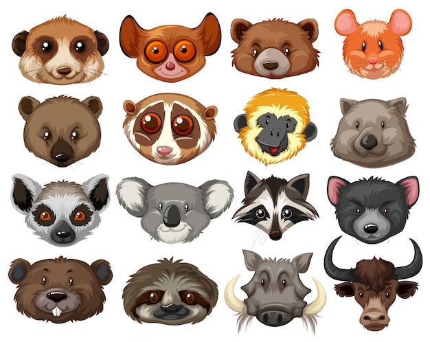 Vetor grátis conjunto de ilustração de cabeças de animais