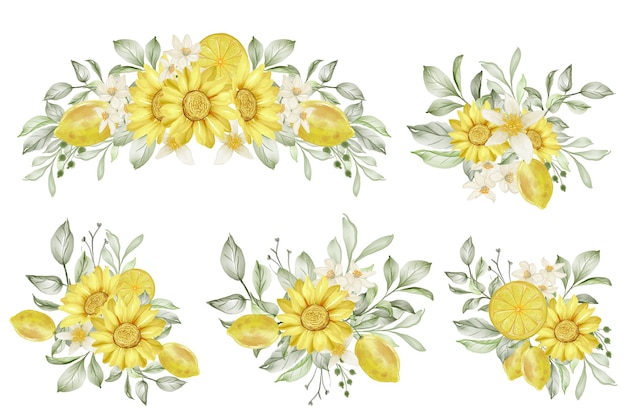 Conjunto de ilustração em aquarela de arranjo de flores de limão primavera