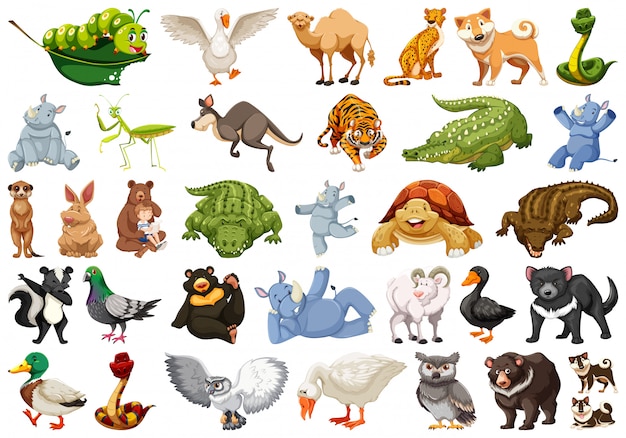 Conjunto de ilustrações de animais selvagens