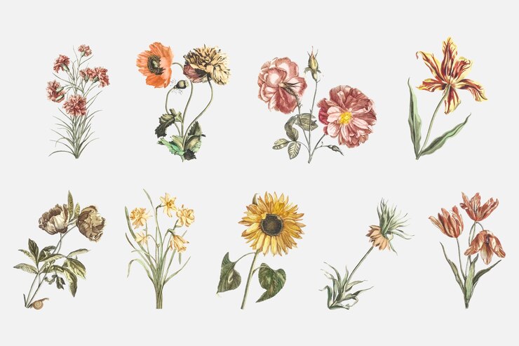 Vetor grátis conjunto de ilustrações de mão desenhada de vetor de flores vintage