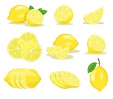 Conjunto de ilustrações de rodelas de limão