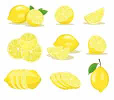 Vetor grátis conjunto de ilustrações de rodelas de limão