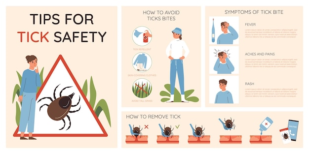 Vetor grátis conjunto de infográfico de insetos com símbolos de picadas de carrapatos ilustração vetorial plana