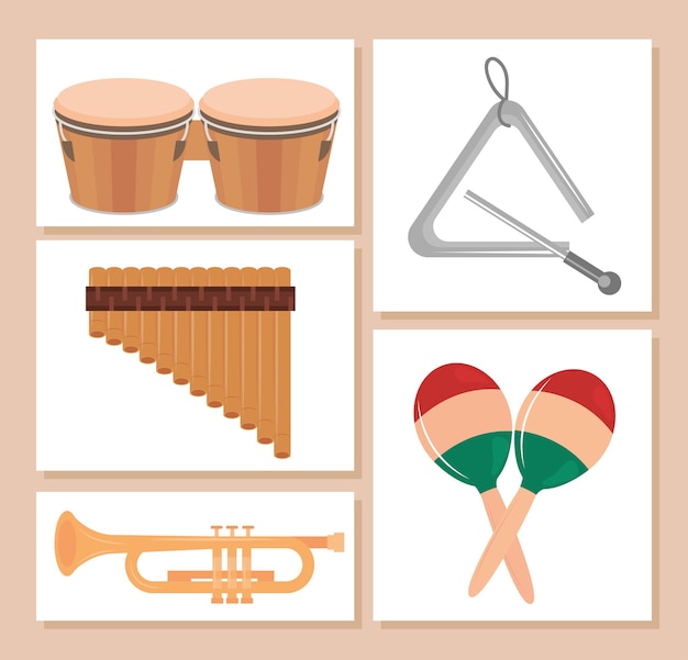 Conjunto de instrumentos musicais