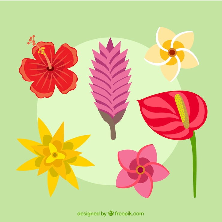 Vetor grátis conjunto de lindas flores tropicais