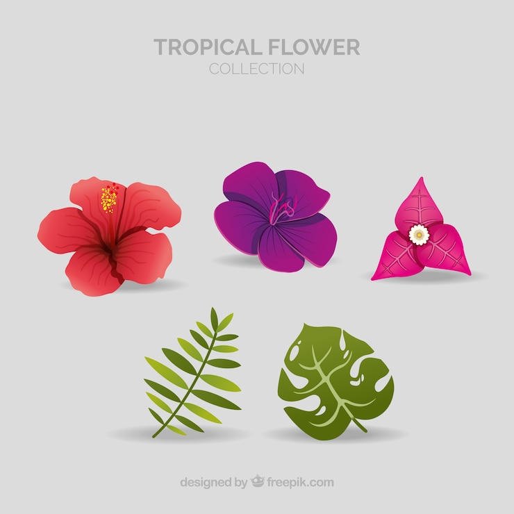 Vetor grátis conjunto de lindas flores tropicais