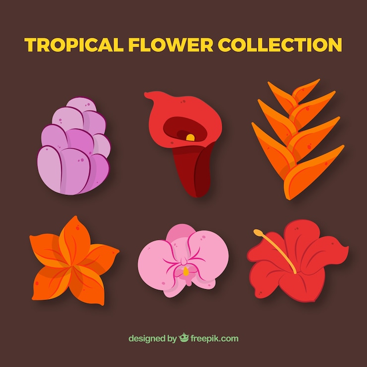 Vetor grátis conjunto de lindas flores tropicais