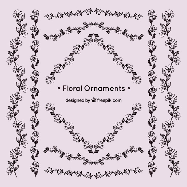 Conjunto de ornamentos florais em estilo desenhado a mão