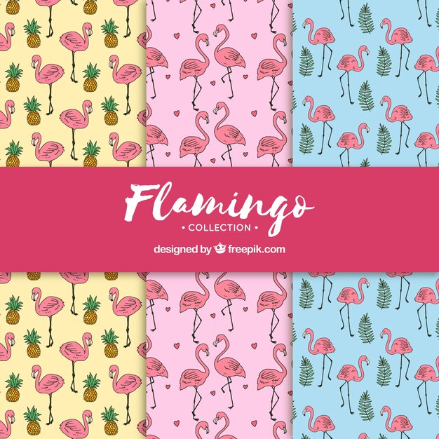 Conjunto de padrões de flamingos com plantas