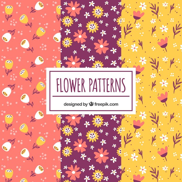 Conjunto de padrões de flores coloridas em estilo desenhado à mão