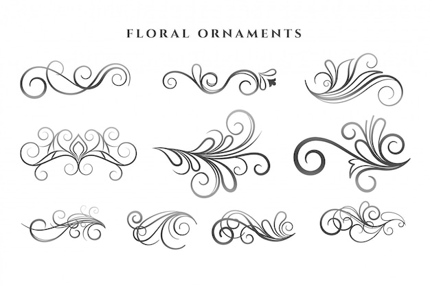 Conjunto de padrões de redemoinho de decoração ornamentos florais