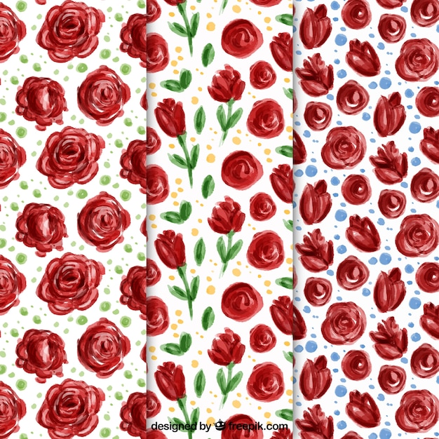 Conjunto de padrões de rosas aquarela