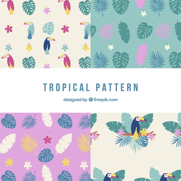 Conjunto de padrões tropicais com plantas e tucanos em estilo simples