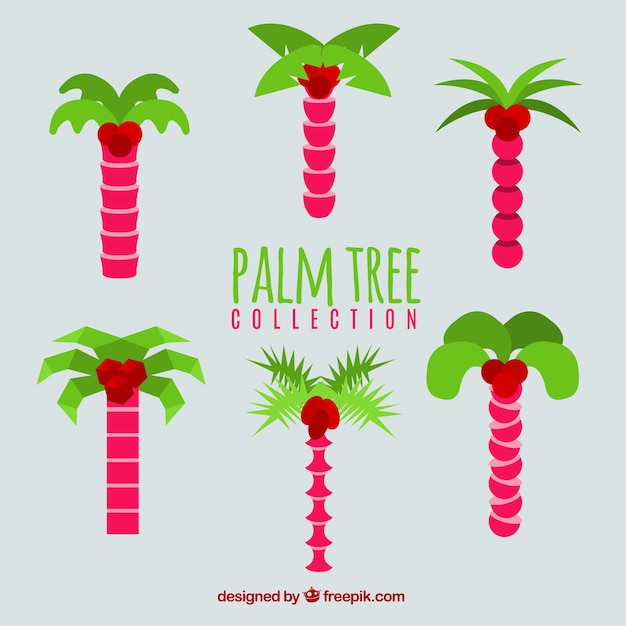 Vetor grátis conjunto de palmeiras coloridas