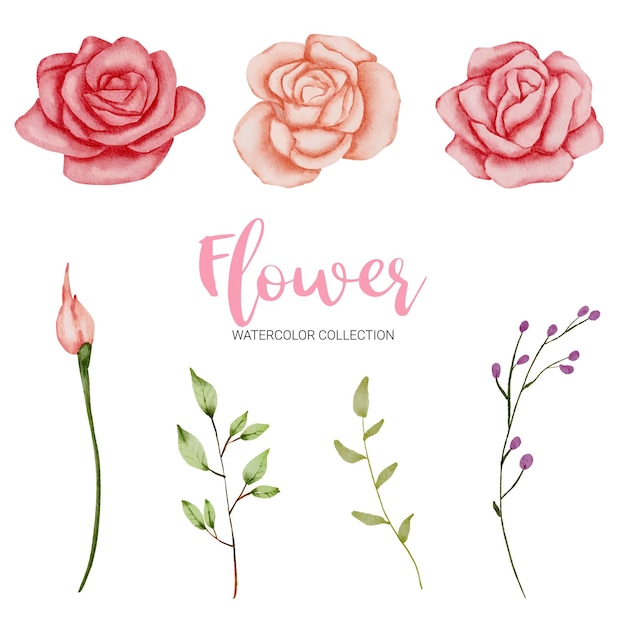 Conjunto de peças separadas e reunidas em um lindo buquê de flores em estilo aquarela