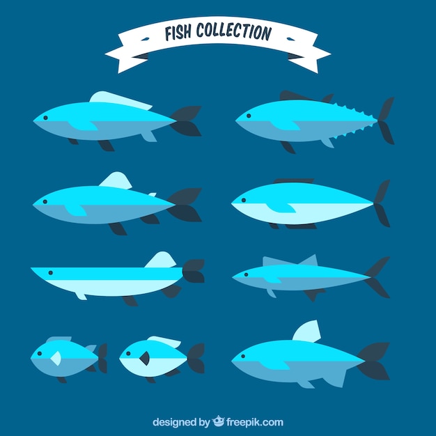 Conjunto de peixes azuis em estilo simples