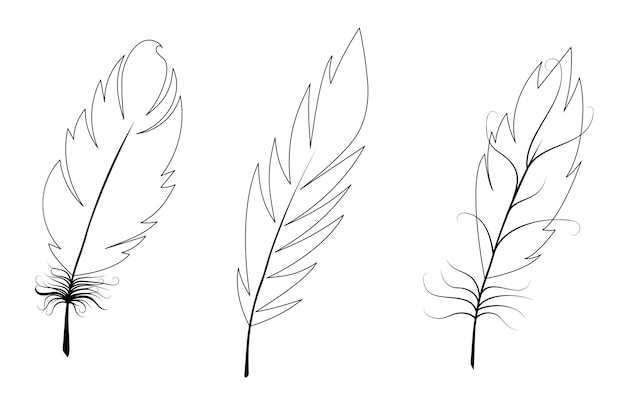 Conjunto de penas de pássaros contornos de penas pretas sobre fundo branco ilustração vetorial