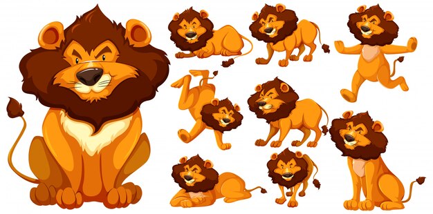 Conjunto de personagem de desenho animado de leão