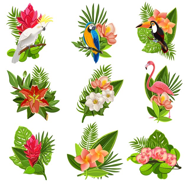 Conjunto de pictogramas de pássaros e flores tropicais