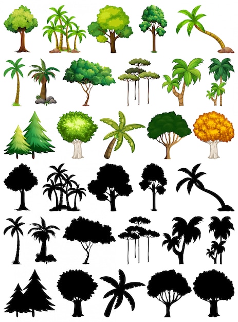 Conjunto de planta e árvore com sua silhueta