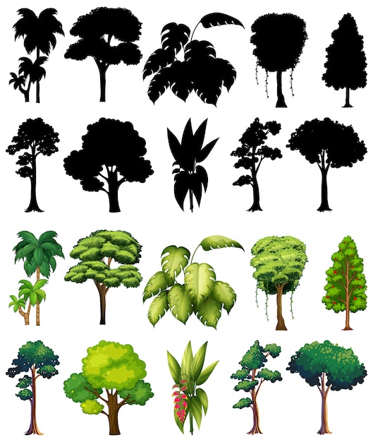 Conjunto de planta e árvore com sua silhueta