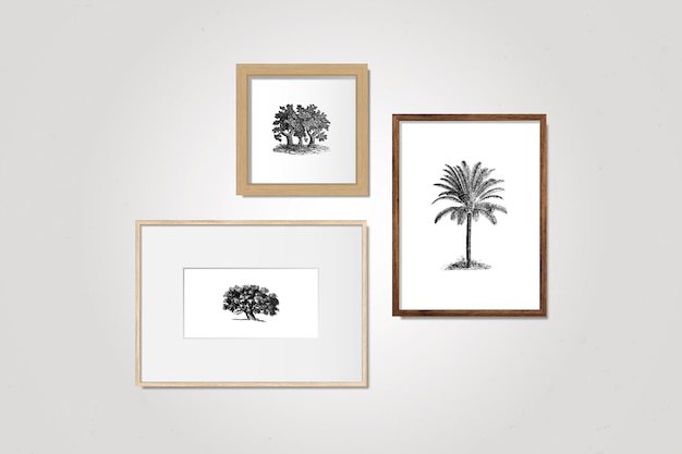 Conjunto de quadros de galeria