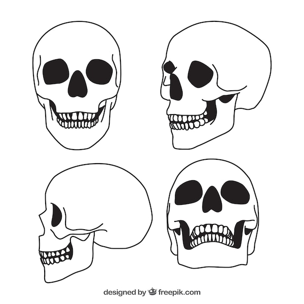 Conjunto de quatro crânios desenhados à mão