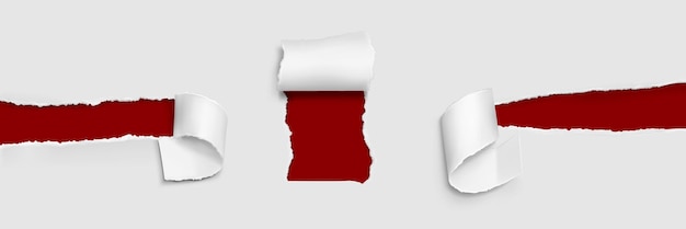 Conjunto de rolos de papel rasgados