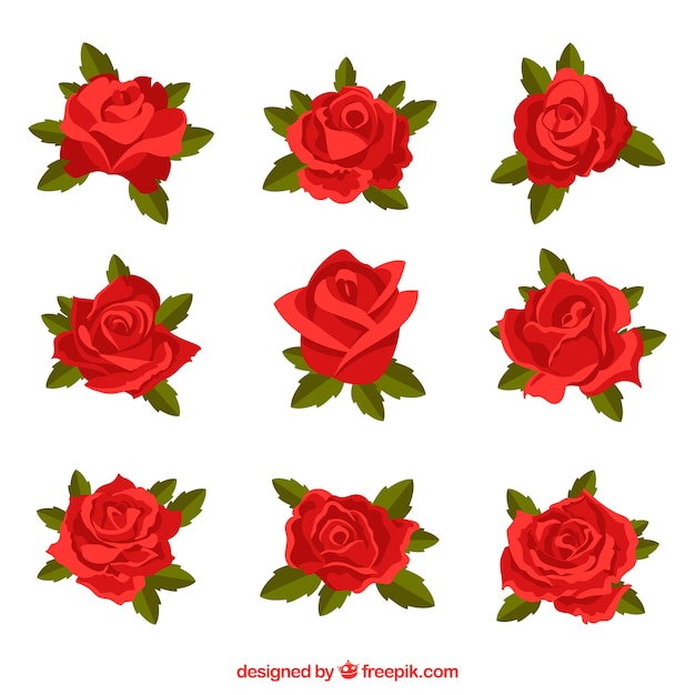 Vetor grátis conjunto de rosas vermelhas