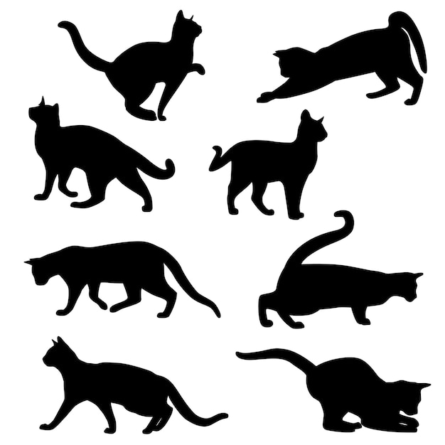 Conjunto Silhuetas Lineares Gato Preto Branco Linha Contorno Bonito Desenho  imagem vetorial de worldofvector© 522189176