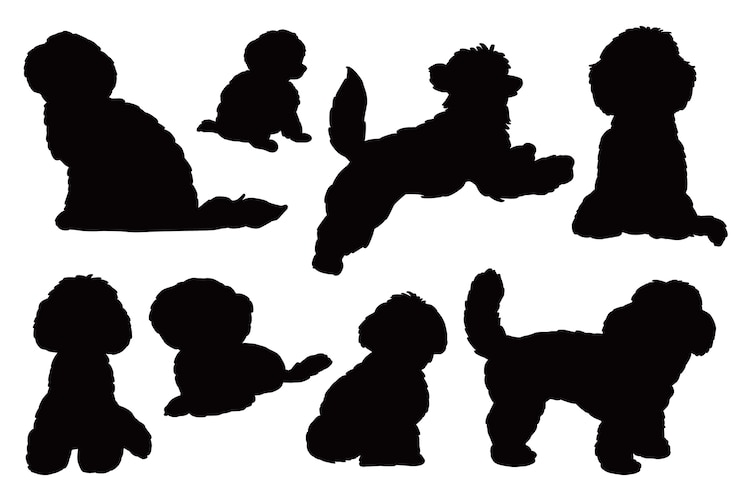 Vetor grátis conjunto de silhueta de poodle de design plano