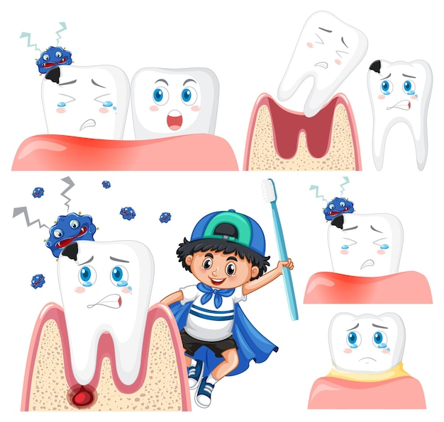 Conjunto de todos os tipos de dentes com criança em fundo branco