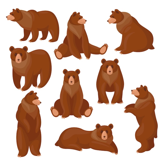 urso vetor cartoon clipart anime fofo personagem modelo ilustração desenho  4758687 Vetor no Vecteezy