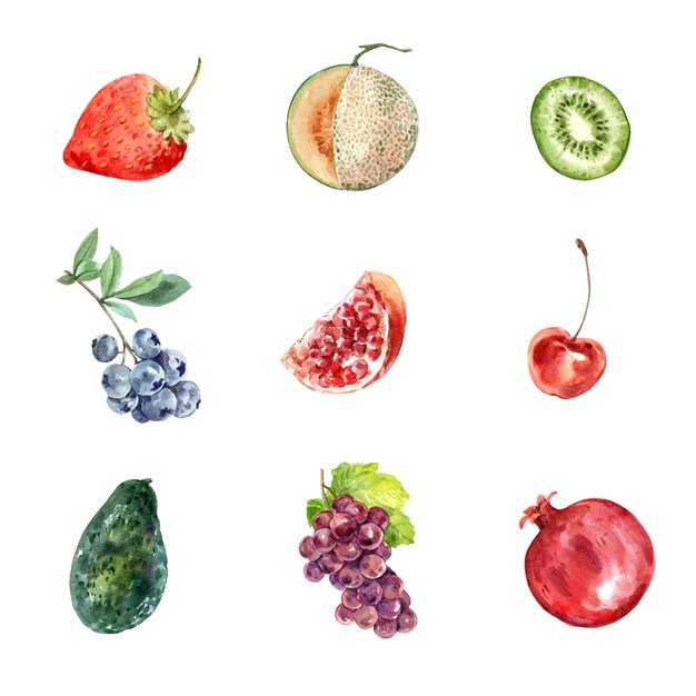 Conjunto de várias frutas isoladas