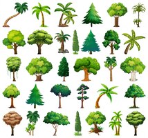 Conjunto de variedade de plantas e árvores