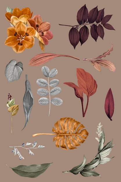 Vetor grátis conjunto de vetores de coleção de folhas tropicais